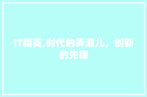 IT精英,时代的弄潮儿，创新的先锋
