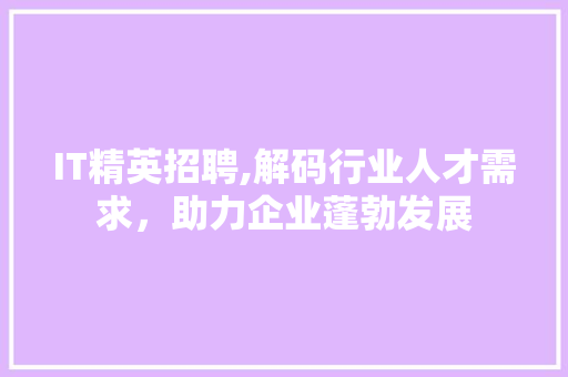 IT精英招聘,解码行业人才需求，助力企业蓬勃发展 网站建设公司