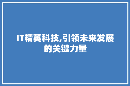 IT精英科技,引领未来发展的关键力量 SEO关键词