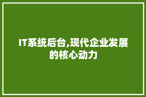 IT系统后台,现代企业发展的核心动力