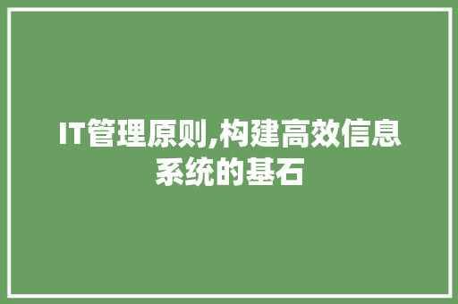 IT管理原则,构建高效信息系统的基石 搜狗SEO