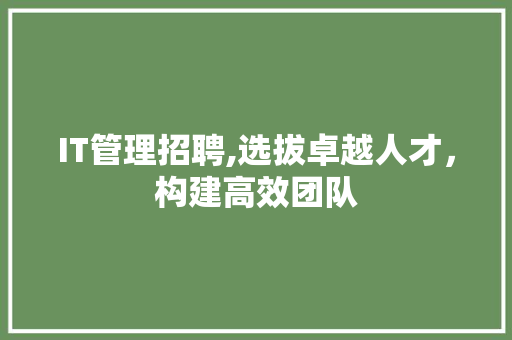 IT管理招聘,选拔卓越人才，构建高效团队