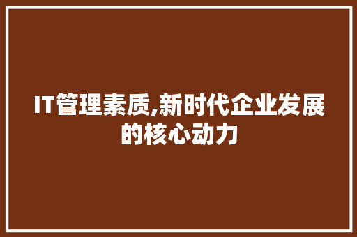 IT管理素质,新时代企业发展的核心动力