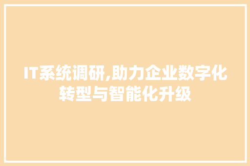 IT系统调研,助力企业数字化转型与智能化升级