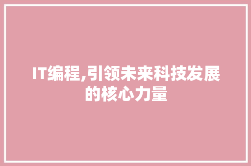 IT编程,引领未来科技发展的核心力量 神马SEO