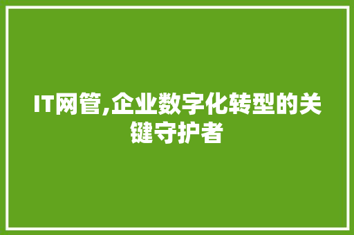 IT网管,企业数字化转型的关键守护者
