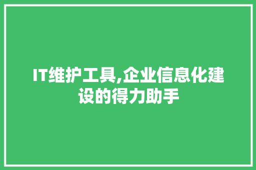 IT维护工具,企业信息化建设的得力助手 神马SEO