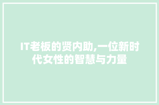 IT老板的贤内助,一位新时代女性的智慧与力量