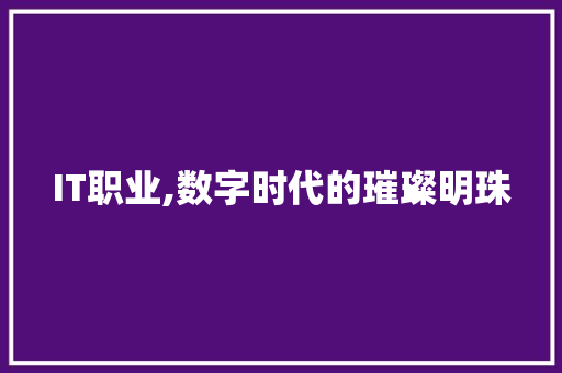 IT职业,数字时代的璀璨明珠