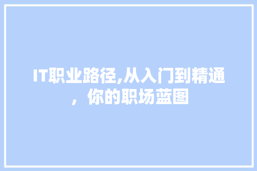 IT职业路径,从入门到精通，你的职场蓝图 必应SEO