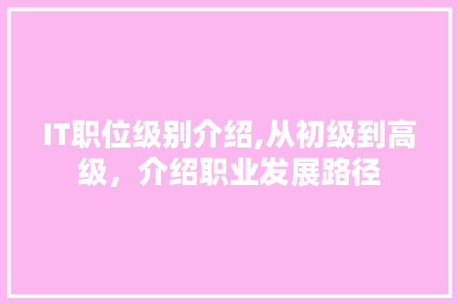 IT职位级别介绍,从初级到高级，介绍职业发展路径 必应SEO