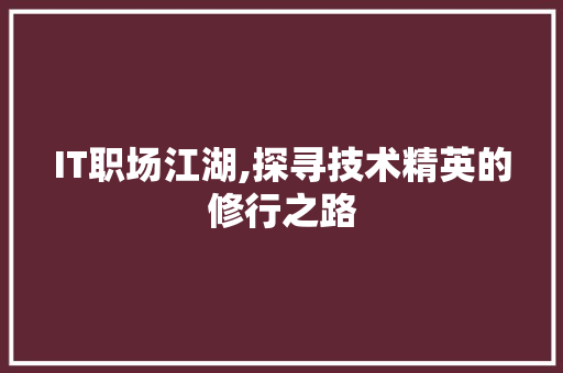 IT职场江湖,探寻技术精英的修行之路