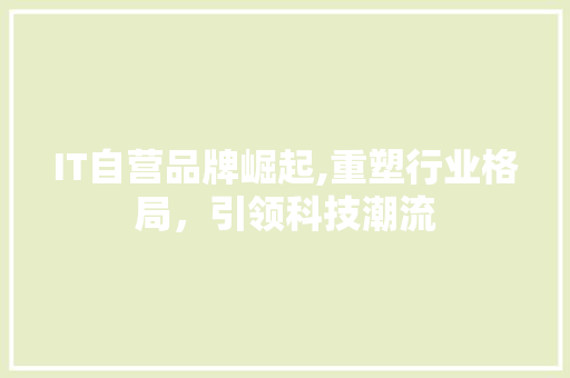 IT自营品牌崛起,重塑行业格局，引领科技潮流 SEO关键词