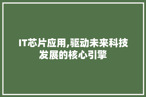 IT芯片应用,驱动未来科技发展的核心引擎 SEO关键词