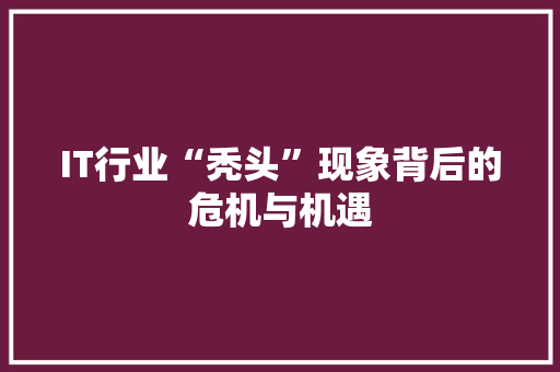 IT行业“秃头”现象背后的危机与机遇