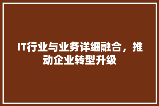 IT行业与业务详细融合，推动企业转型升级