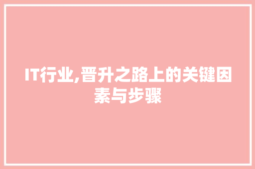 IT行业,晋升之路上的关键因素与步骤
