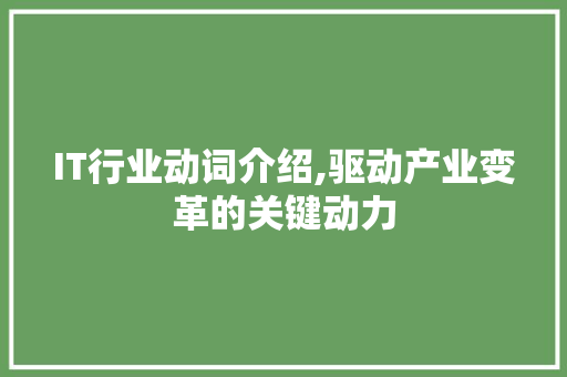 IT行业动词介绍,驱动产业变革的关键动力