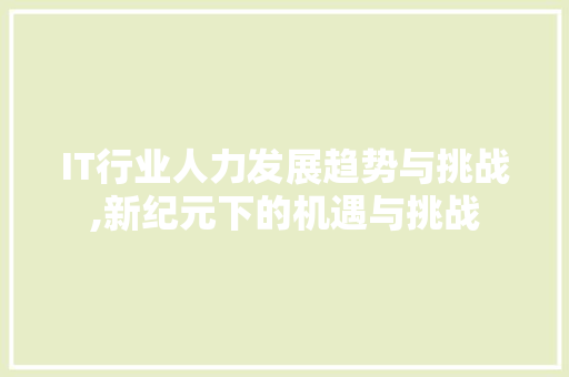 IT行业人力发展趋势与挑战,新纪元下的机遇与挑战