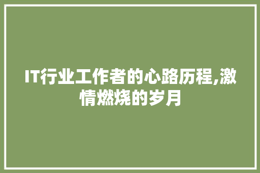 IT行业工作者的心路历程,激情燃烧的岁月 百度SEO