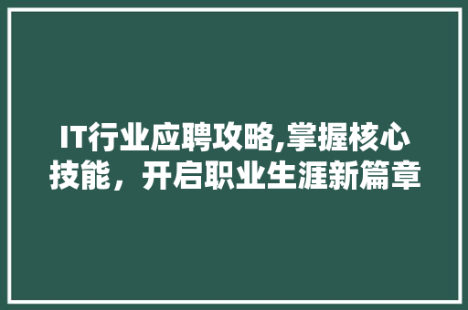 IT行业应聘攻略,掌握核心技能，开启职业生涯新篇章