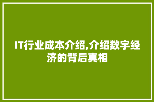 IT行业成本介绍,介绍数字经济的背后真相