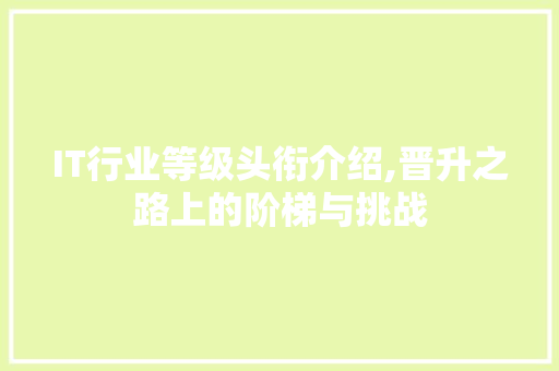 IT行业等级头衔介绍,晋升之路上的阶梯与挑战
