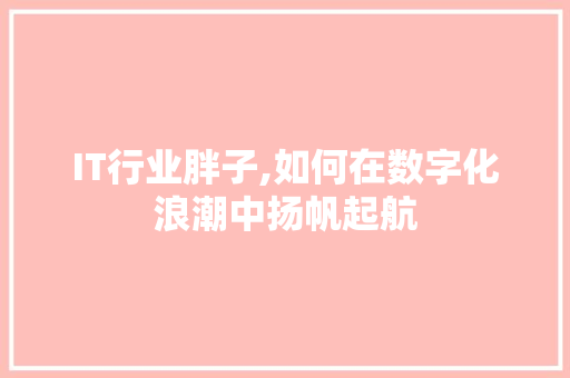 IT行业胖子,如何在数字化浪潮中扬帆起航