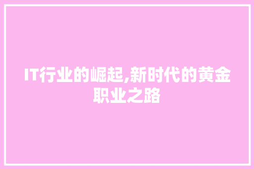 IT行业的崛起,新时代的黄金职业之路
