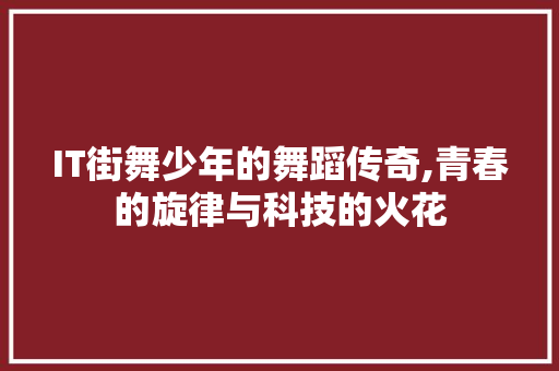 IT街舞少年的舞蹈传奇,青春的旋律与科技的火花
