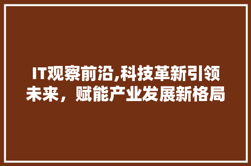 IT观察前沿,科技革新引领未来，赋能产业发展新格局 网站建设公司