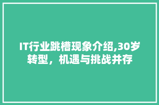 IT行业跳槽现象介绍,30岁转型，机遇与挑战并存