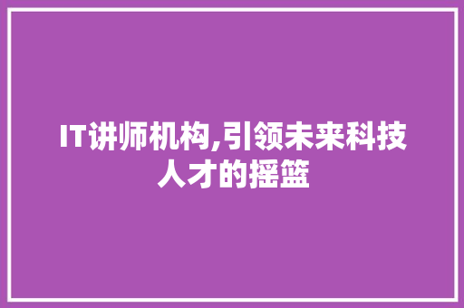IT讲师机构,引领未来科技人才的摇篮 神马SEO