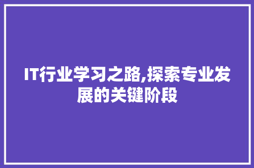 IT行业学习之路,探索专业发展的关键阶段