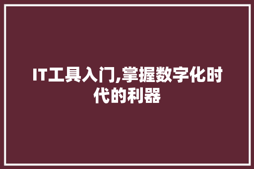 IT工具入门,掌握数字化时代的利器
