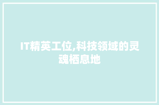 IT精英工位,科技领域的灵魂栖息地