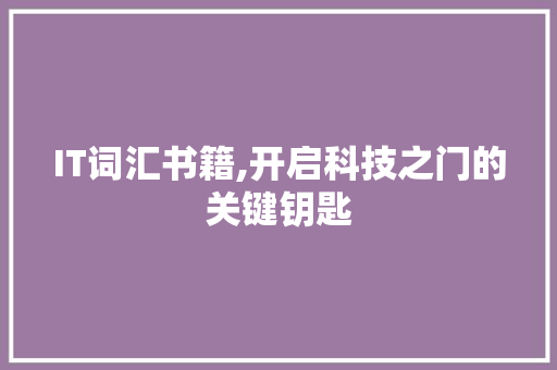 IT词汇书籍,开启科技之门的关键钥匙