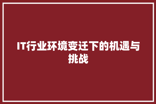 IT行业环境变迁下的机遇与挑战