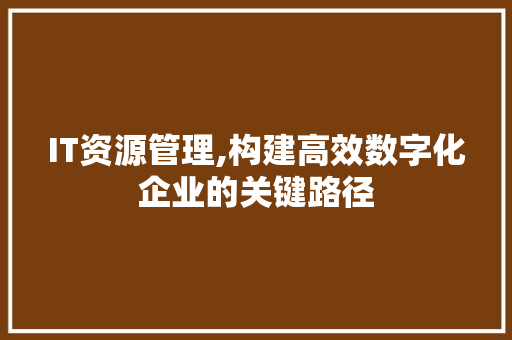 IT资源管理,构建高效数字化企业的关键路径