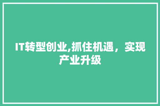 IT转型创业,抓住机遇，实现产业升级