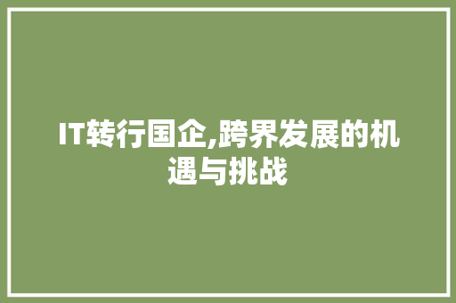 IT转行国企,跨界发展的机遇与挑战 神马SEO