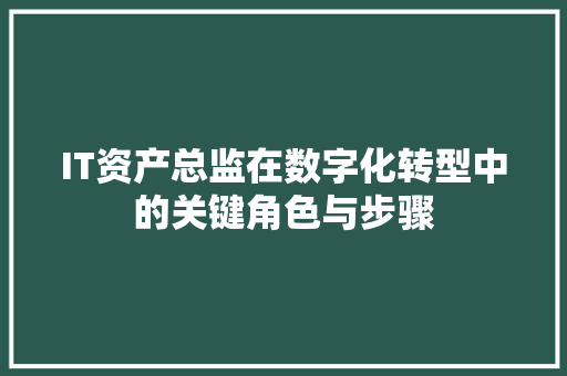 IT资产总监在数字化转型中的关键角色与步骤 SEO关键词