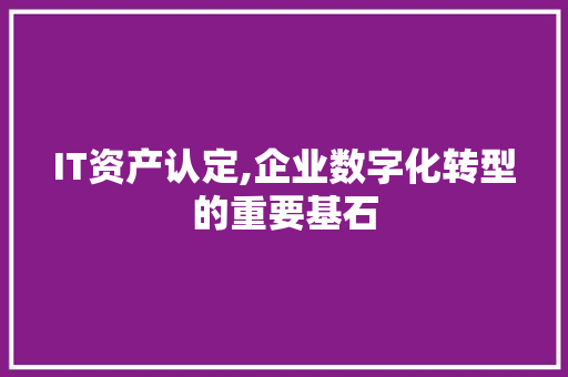 IT资产认定,企业数字化转型的重要基石