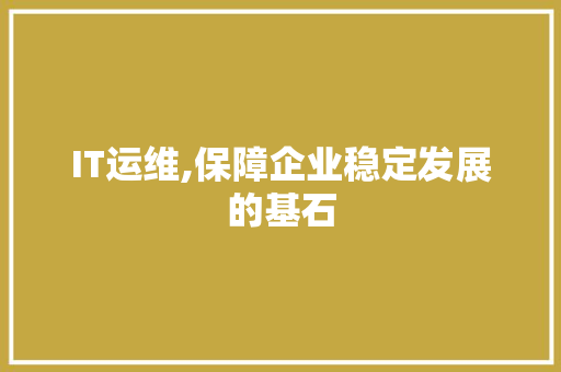 IT运维,保障企业稳定发展的基石 神马SEO