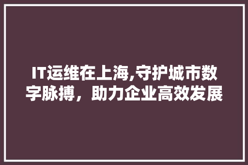 IT运维在上海,守护城市数字脉搏，助力企业高效发展