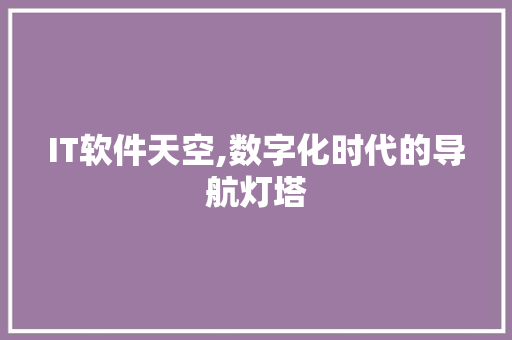 IT软件天空,数字化时代的导航灯塔