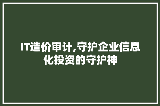 IT造价审计,守护企业信息化投资的守护神 必应SEO