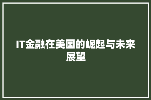 IT金融在美国的崛起与未来展望
