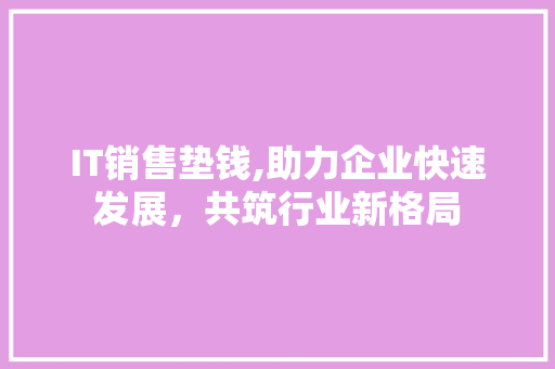 IT销售垫钱,助力企业快速发展，共筑行业新格局