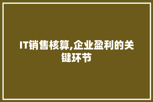IT销售核算,企业盈利的关键环节